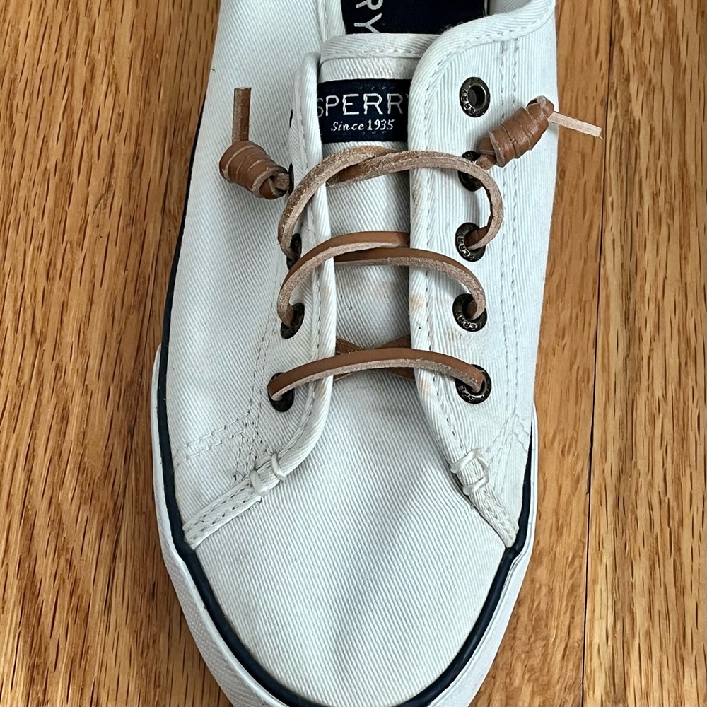 Sperry canvas slip on sneaker - Picture 3 of 6